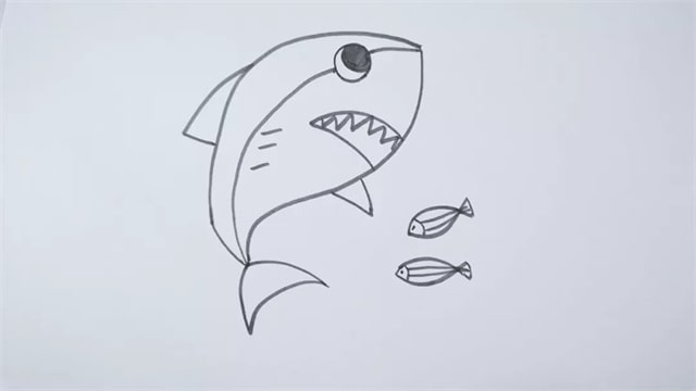 鯊魚(yú)簡(jiǎn)筆畫(huà)步驟圖片
