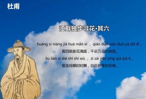 杜甫江畔獨步尋花其六古詩帶拼音版