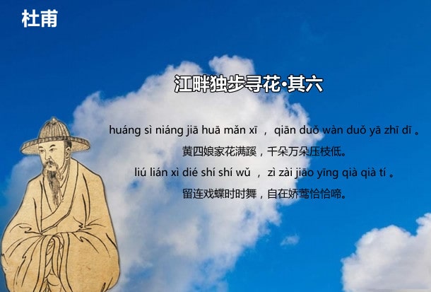 杜甫江畔獨步尋花其六古詩帶拼音版