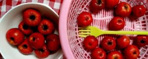 山楂罐頭家庭自制法