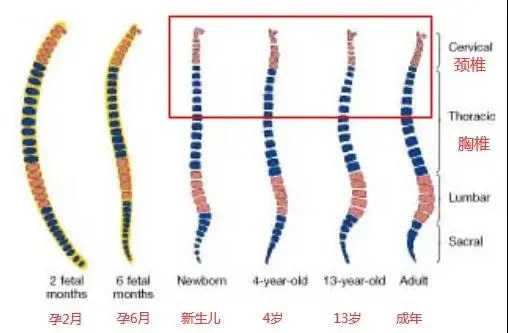 新生兒需要枕頭嗎？睡早了或睡不當(dāng)都不好