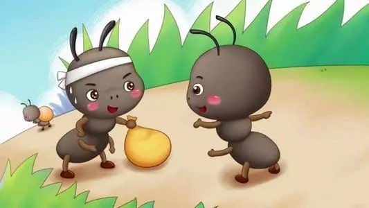 小螞蟻背米的故事