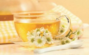 孕婦能喝菊花茶嗎