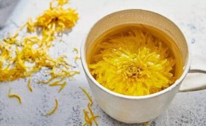 經(jīng)期能喝菊花茶嗎