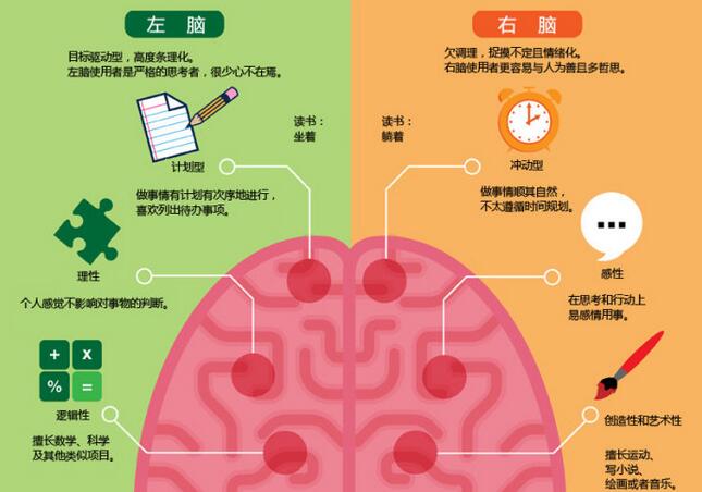 左腦右腦分別控制什么