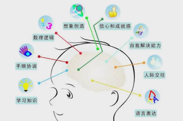 左腦右腦分別控制什么