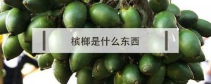 檳榔是什么東西