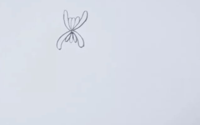 菊花簡(jiǎn)筆畫(huà)怎么畫(huà)