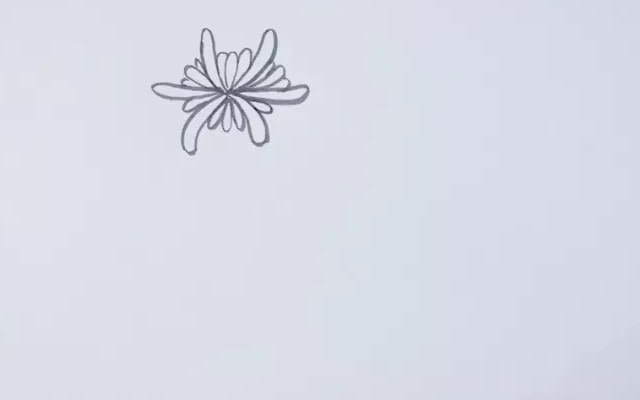 菊花簡(jiǎn)筆畫(huà)怎么畫(huà)