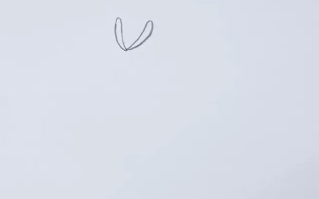 菊花簡(jiǎn)筆畫(huà)怎么畫(huà)