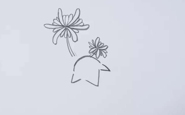 菊花簡(jiǎn)筆畫(huà)怎么畫(huà)