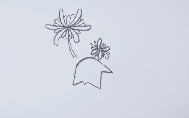 菊花簡(jiǎn)筆畫(huà)怎么畫(huà)