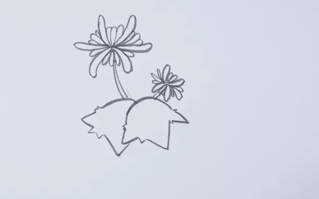 菊花簡(jiǎn)筆畫(huà)怎么畫(huà)