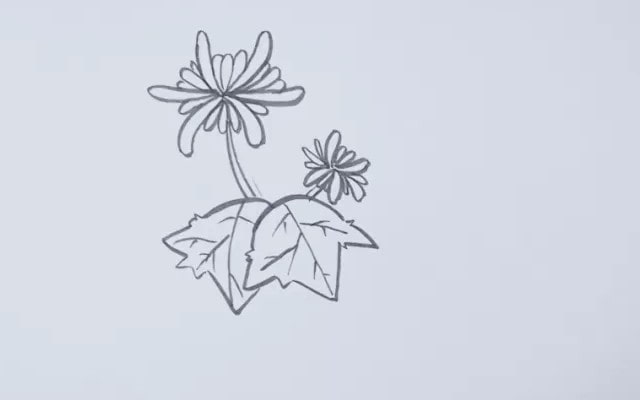 菊花簡(jiǎn)筆畫(huà)怎么畫(huà)