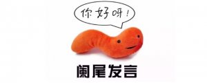 闌尾在哪邊 闌尾在哪個(gè)位置?