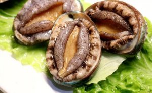 吃鮑魚的功效與作用禁忌