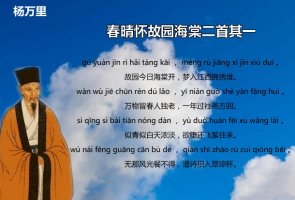 楊萬里春晴懷故園海棠二首古詩帶拼音版