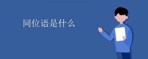 什么是同位語