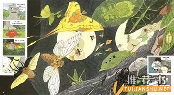 麻辣語(yǔ)文老師蔡朝陽(yáng)親自推薦的“旅之繪本”書單來(lái)了