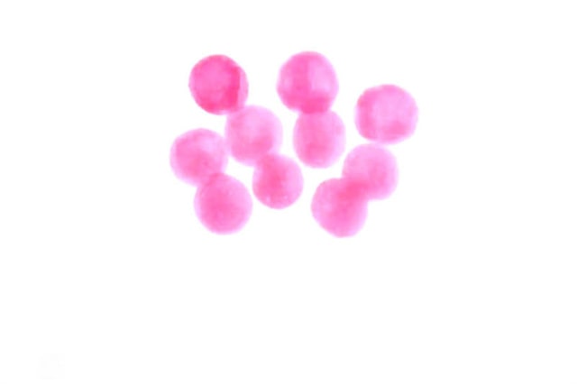 教師節(jié)畫一束花簡筆畫送給老師吧