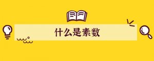 什么是素?cái)?shù)