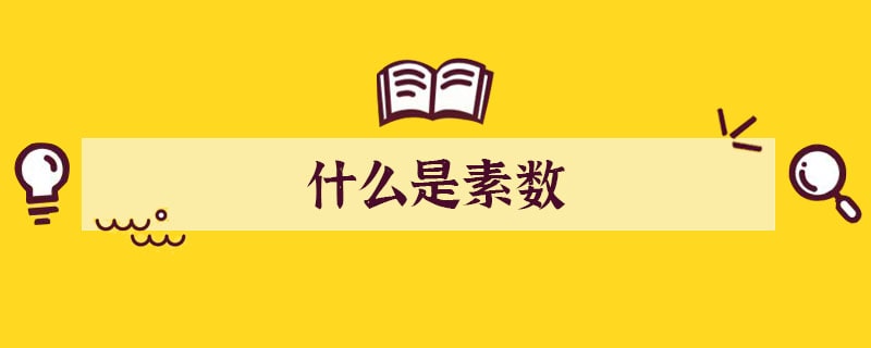 什么是素?cái)?shù)
