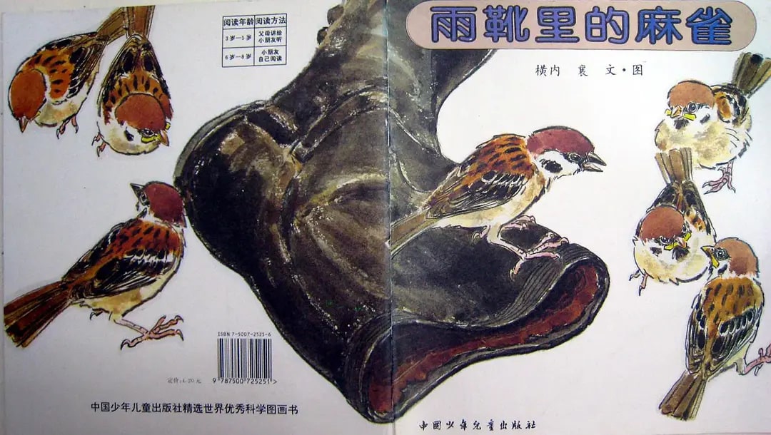 兒童繪本故事《雨靴里的麻雀》