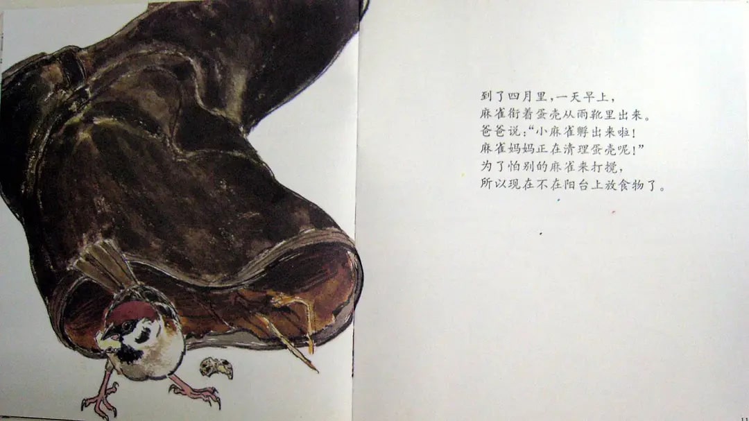 兒童繪本故事《雨靴里的麻雀》
