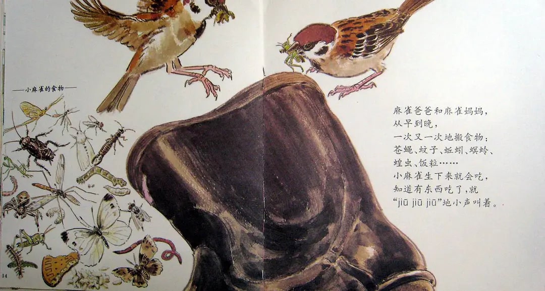 兒童繪本故事《雨靴里的麻雀》