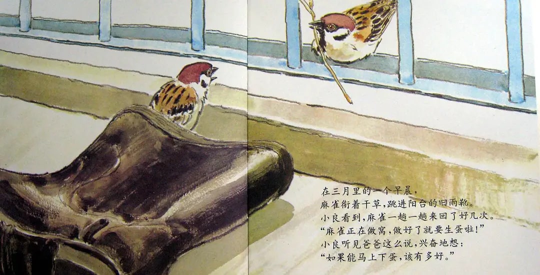兒童繪本故事《雨靴里的麻雀》