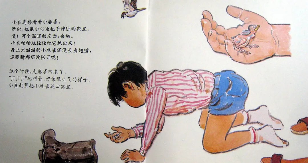 兒童繪本故事《雨靴里的麻雀》