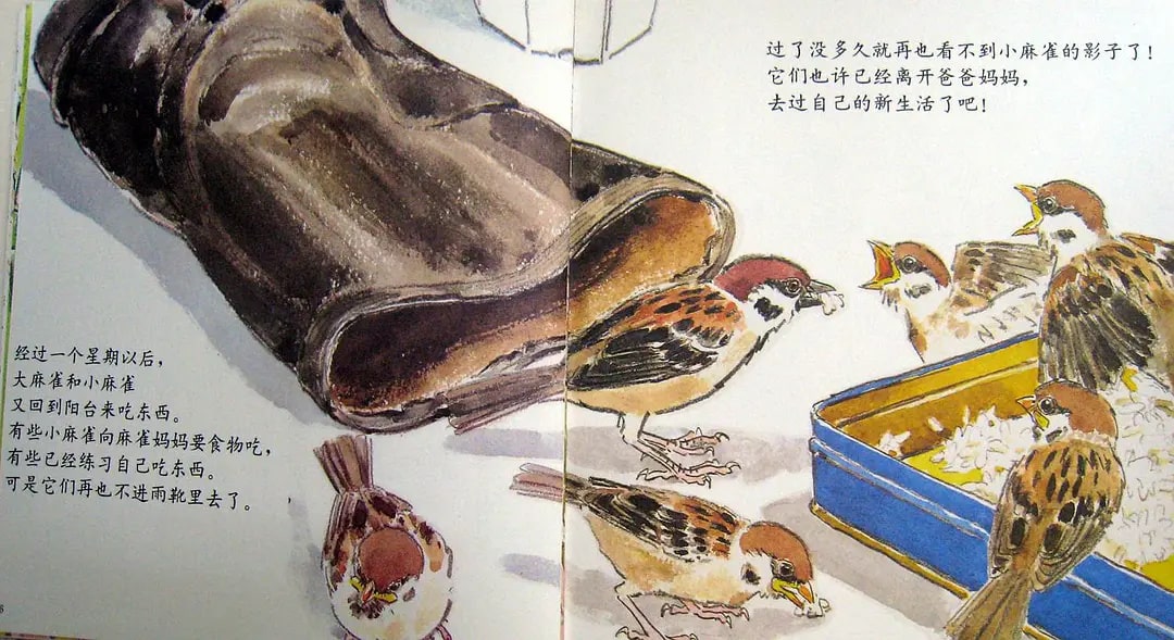 兒童繪本故事《雨靴里的麻雀》