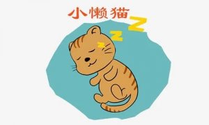 小懶貓的故事