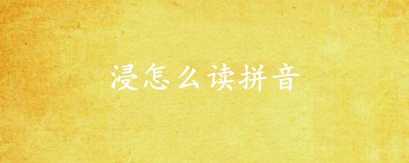 浸怎么讀拼音