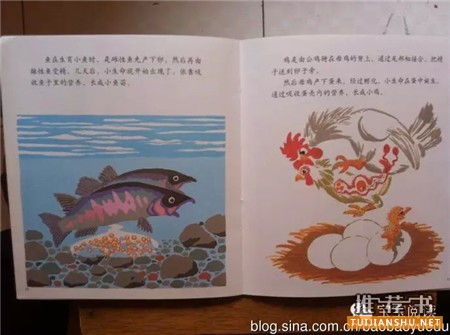 怎樣對孩子性教育？ 送您性教育書單