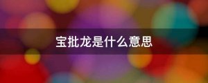 寶批龍什么意思