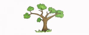 大樹簡(jiǎn)筆畫怎么畫簡(jiǎn)單