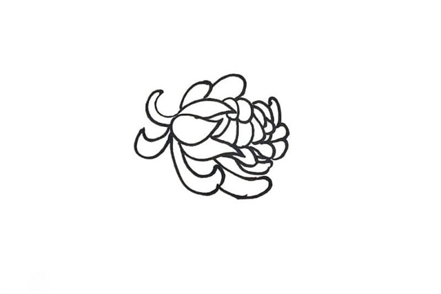 紅色九月菊花簡筆畫怎么畫圖片