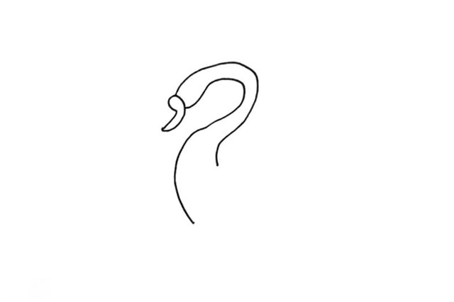 天鵝簡(jiǎn)筆畫(huà)怎么畫(huà)好看
