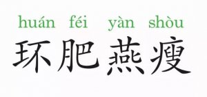 環(huán)肥燕瘦是什么意思