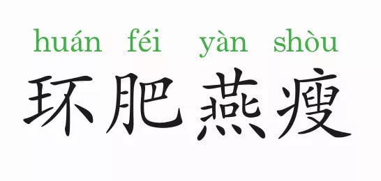 環(huán)肥燕瘦是什么意思