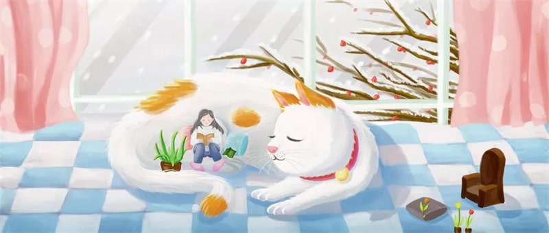 小學數(shù)學課外書單，真正的數(shù)學閱讀