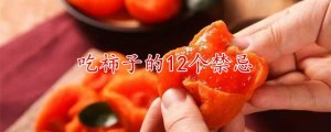 吃柿子的12個(gè)禁忌