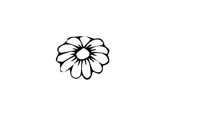 小雛菊花簡筆畫怎么畫簡單