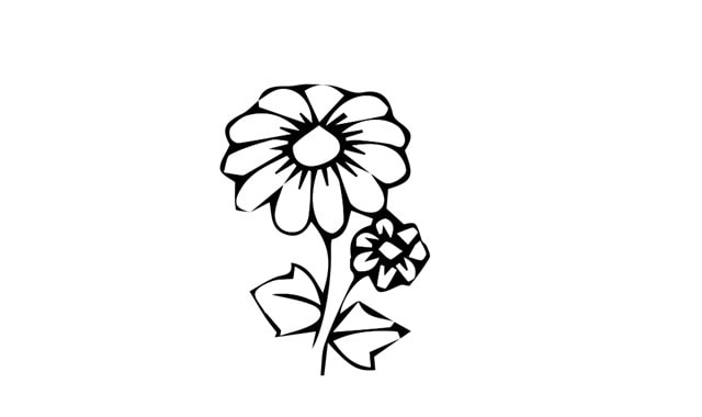 小雛菊花簡筆畫怎么畫簡單
