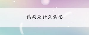 鴨梨是什么意思