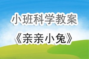 幼兒園小班科學(xué)教案《親親小兔》含反思