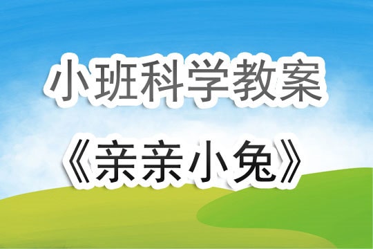 幼兒園小班科學(xué)教案《親親小兔》含反思