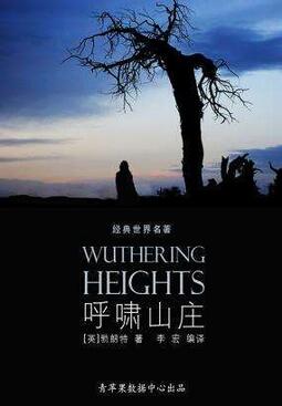 6本震撼心靈的愛情名著小說推薦