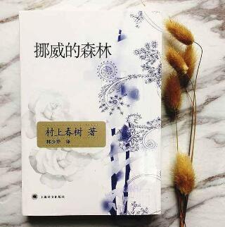 6本震撼心靈的愛情名著小說推薦